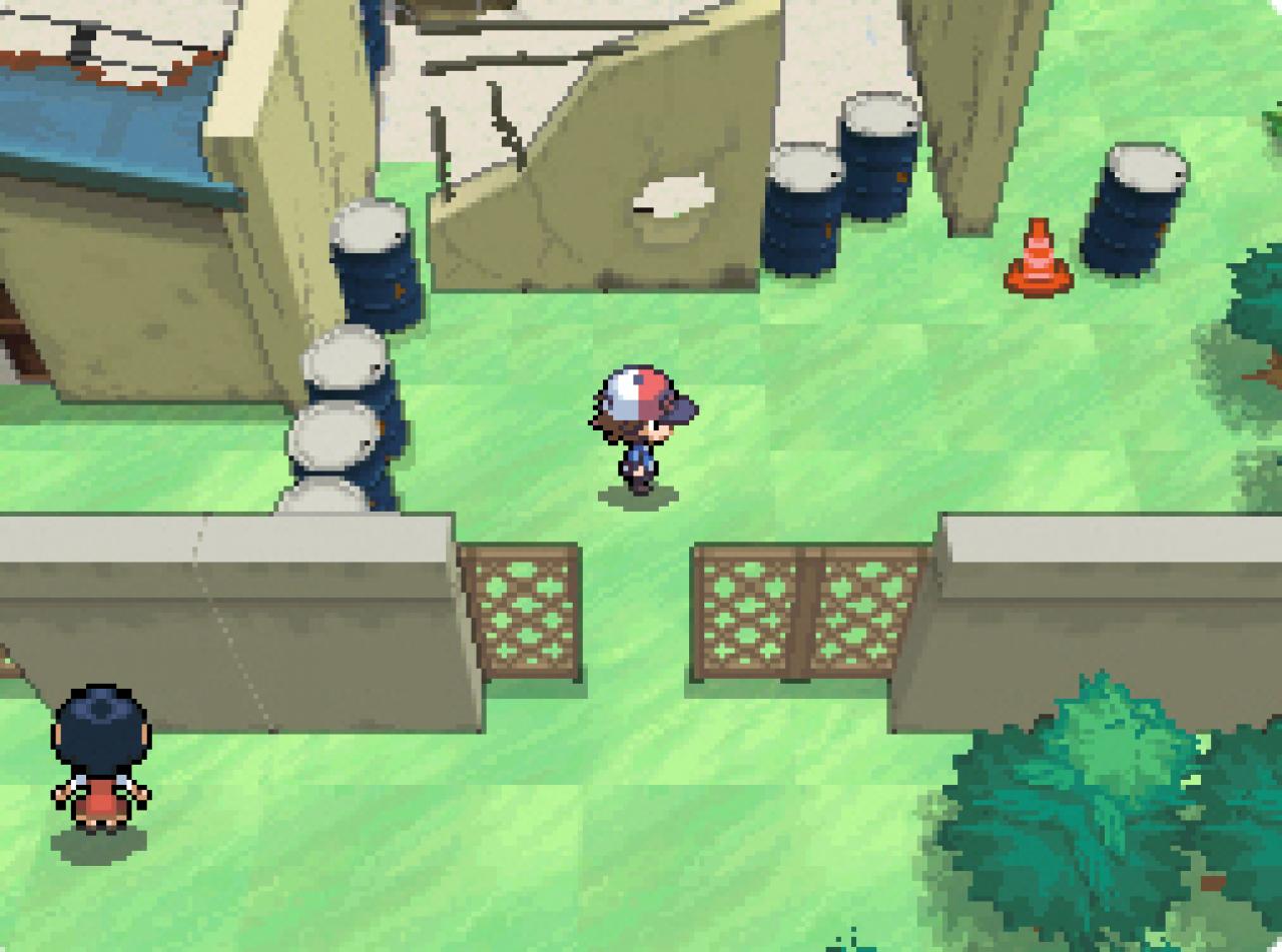[24/08/2010] Aktuelle Screenshots aus Pokémon Black and White. (4)
