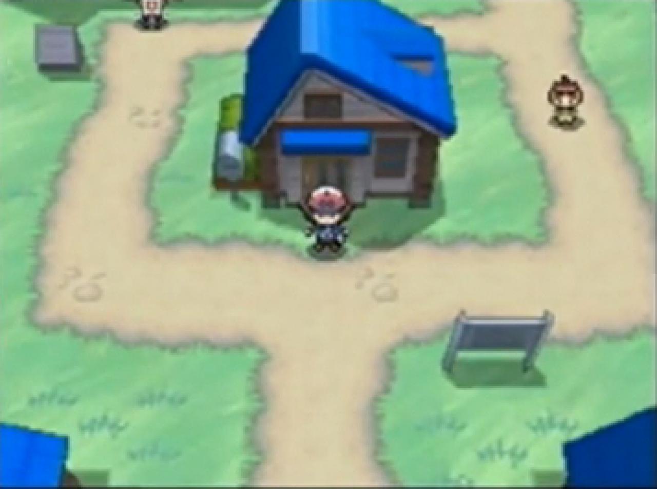 [06/09/2010] Jede Menge Unterschiede zwischen den beiden Editionen sorgen dafür, dass echte Fans sich wohl gleich Schwarz und Weiß zusammen holen werden. Nicht nur, dass euch so kein Pokémon mehr entgehen kann, nur wer beide Teile gespielt hat, kommt auch in den Genuss aller Gebiete.
