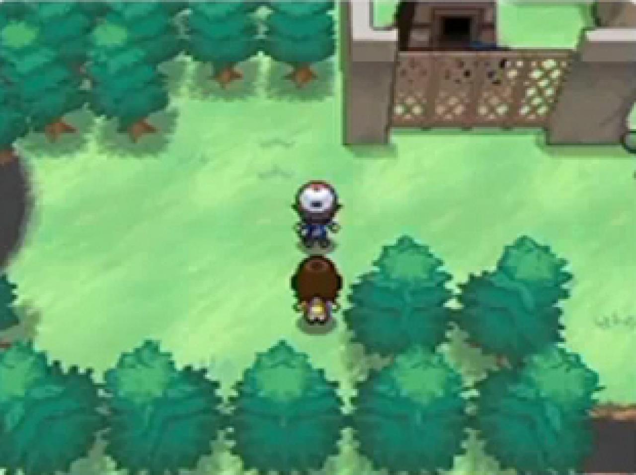 [13/09/2010] Käfer-Pokémon finden sich vor allem in Wiesen und Wäldern.