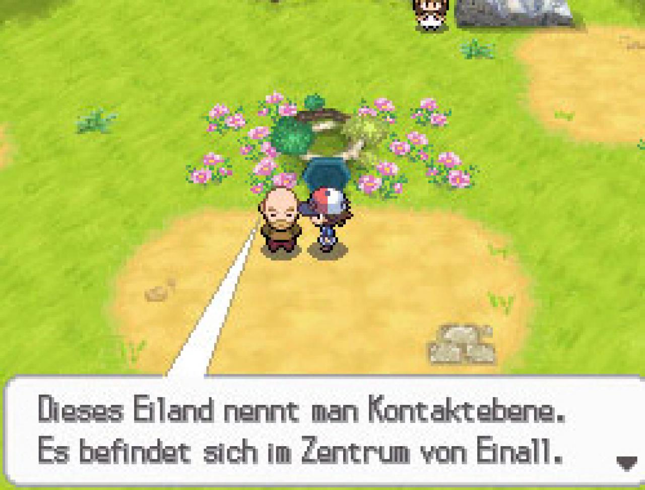 [01/02/2011] Während eurer Tour durch die Einall-Region lernt ihr jede Menge nette Leute kennen.