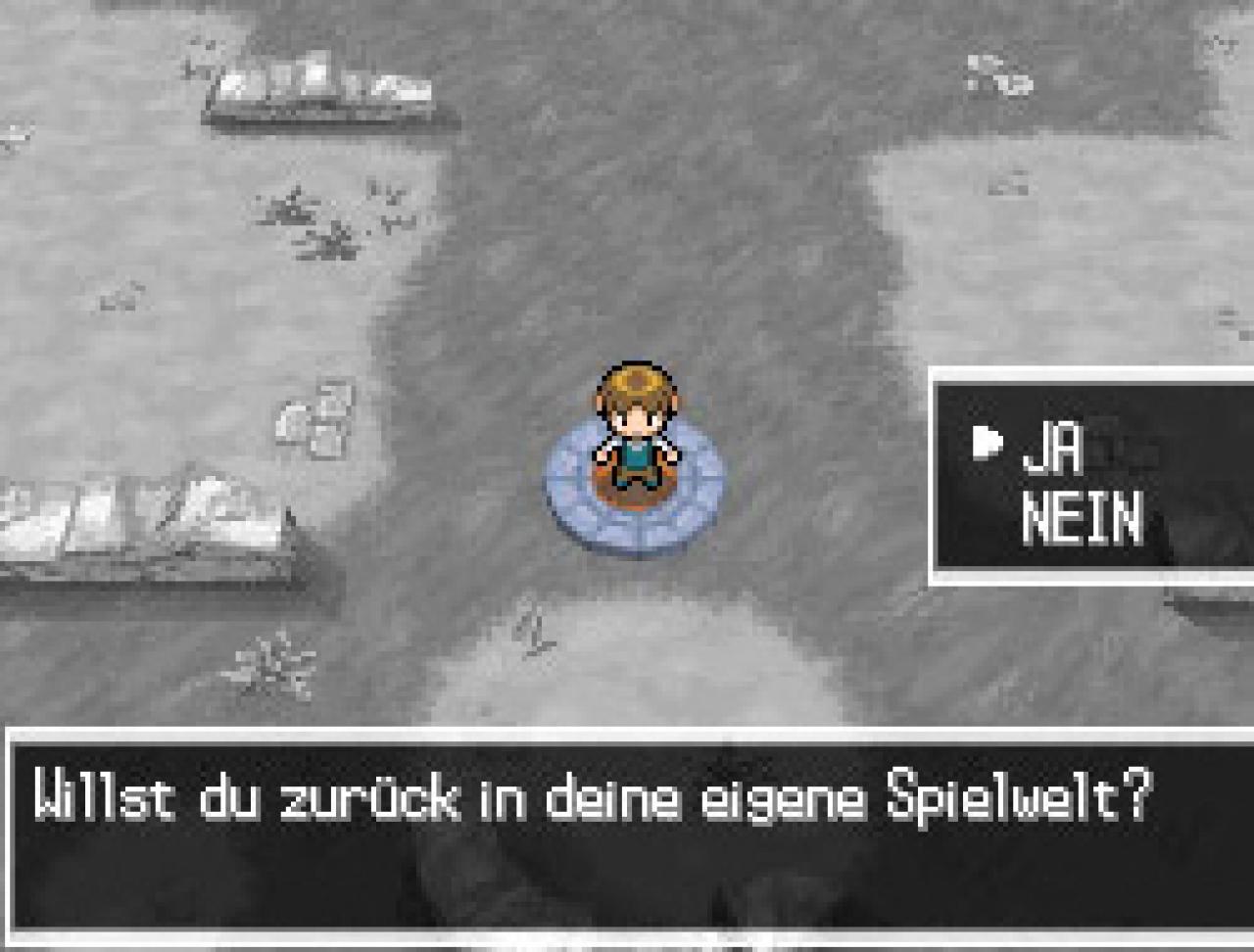 [01/02/2011] Screenshots aus der deutschen Version von Pokémon Black and White. Das Rollenspiel erscheint am 4. März für Nintendo DS. (19)