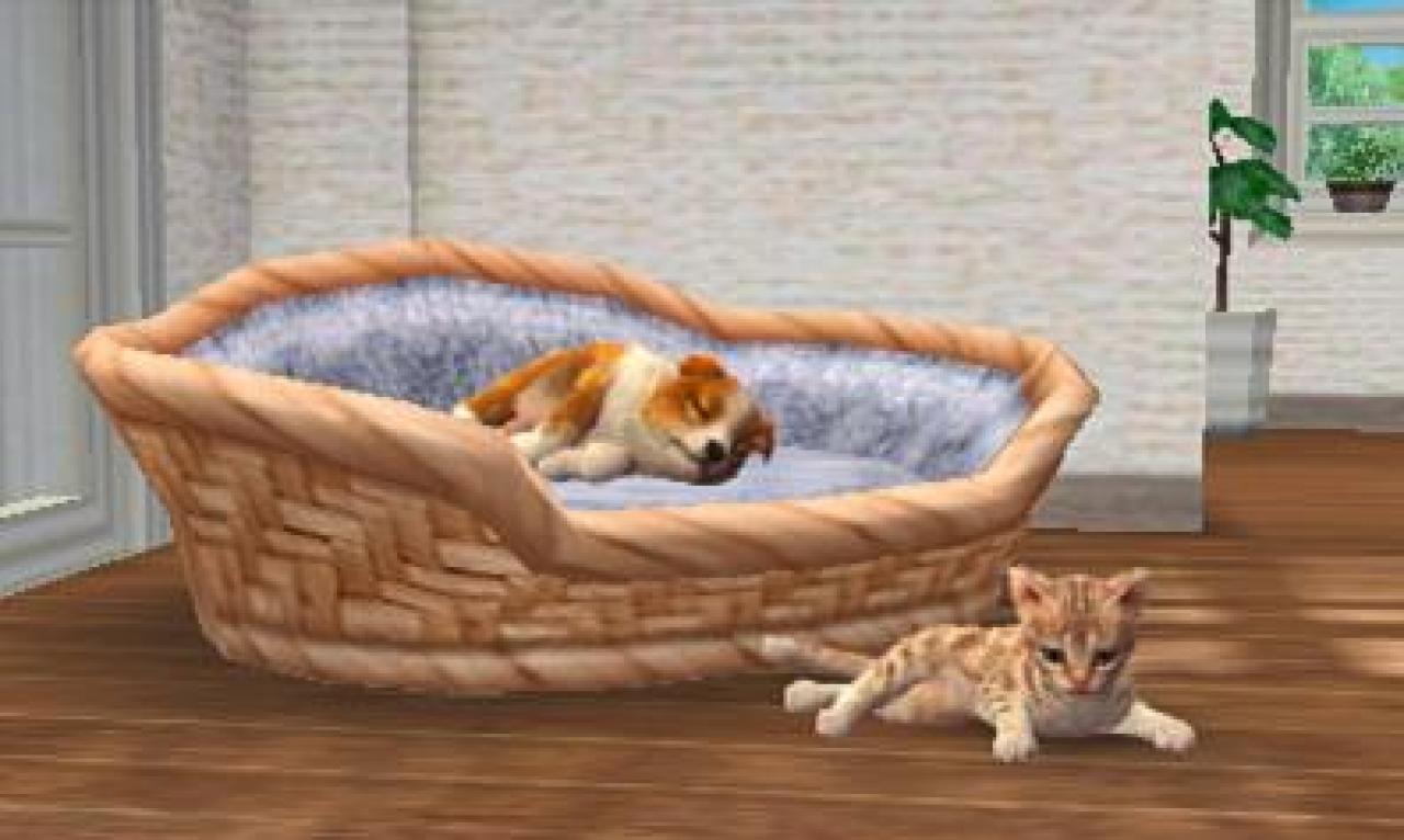 [24/03/2011] Die Katzen sind, ebenso wie die Hunde, super modelliert. Die Ergänzung steht der Haustiersimulation gut zu Gesicht.