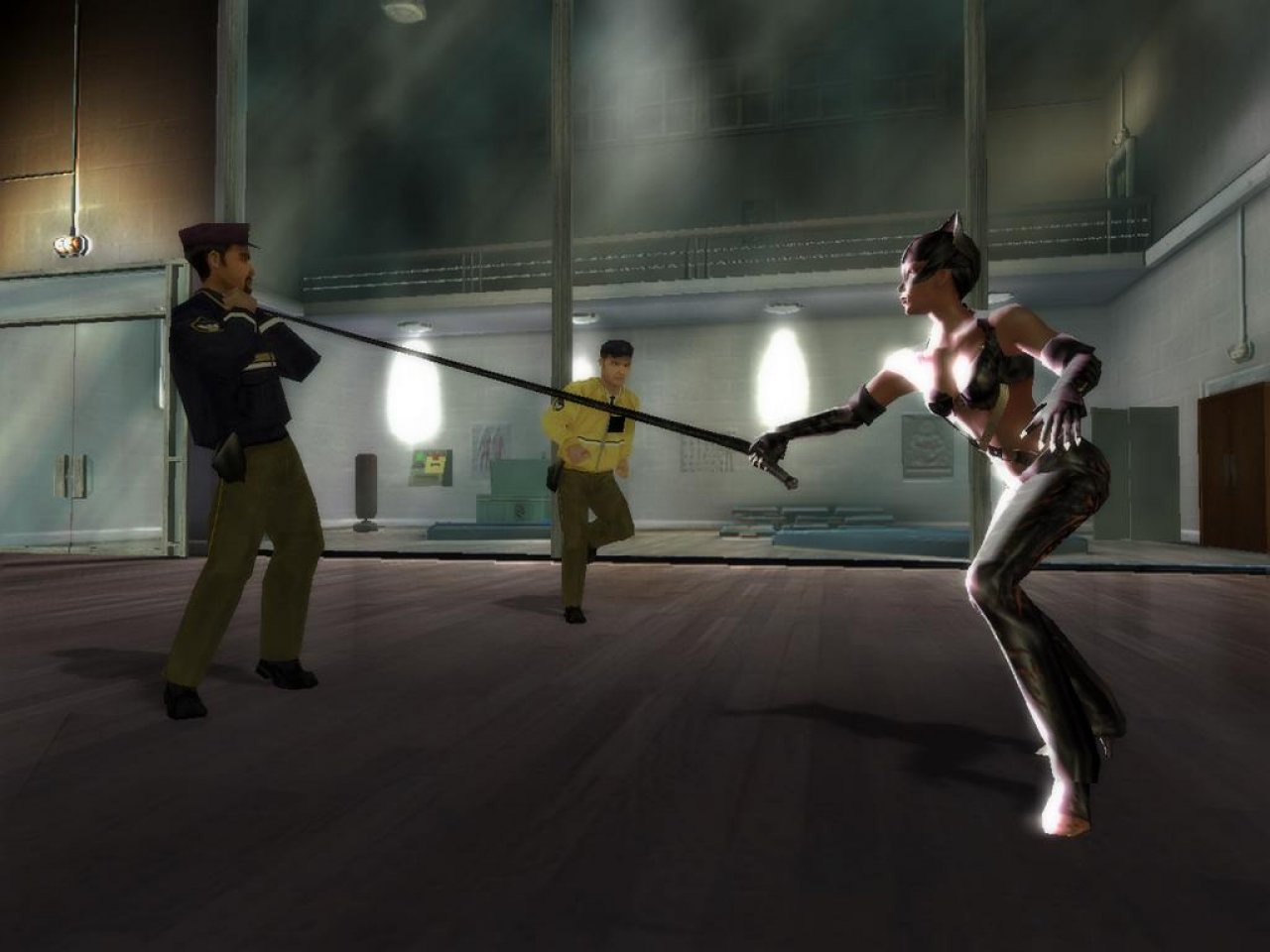 [05/05/2011] Catwoman (PS2) - Nichts in diesem Spiel erinnert auch nur im Entferntesten an Catwoman. Egal ob Aufmachung, Gegner, Kampfstil oder weitere Features, mit der Comic-Katze hat das langweilige Spiel nichts zu tun.
