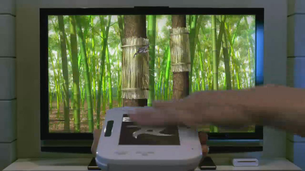 [07/06/2011] Wie werden die Dritthersteller die neuen Wii U-Tablet-Features nutzen?