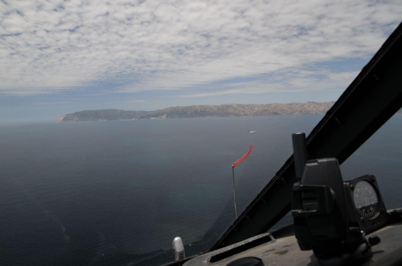 [06/06/2011] Das ist Cataline Island.