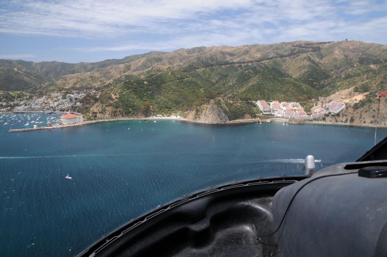 [06/06/2011] Richtig! Cataline Island.