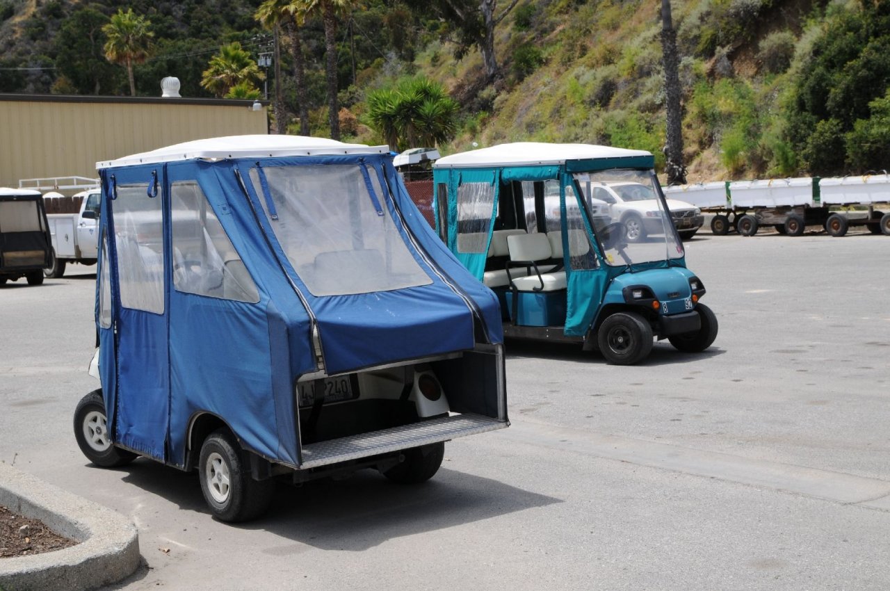 [06/06/2011] Ein normales Auto ist deshalb ungewöhnlich, weil auf Cataline Island viel E-Autos fahren.