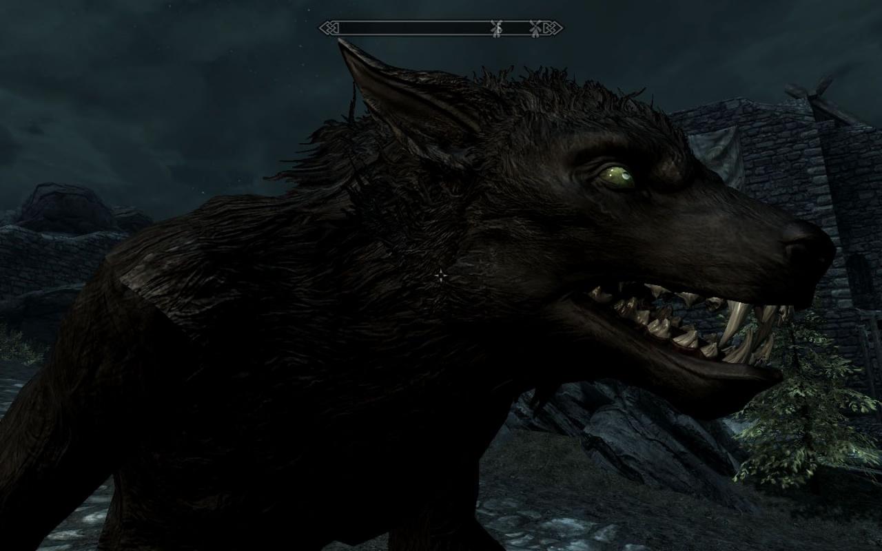 [21/11/2011] In Skyrim könnt ihr selbst zu einem Werwolf werden - dadurch werdet ihr stärker, könnt aber nicht mit der Umgebung interagieren.