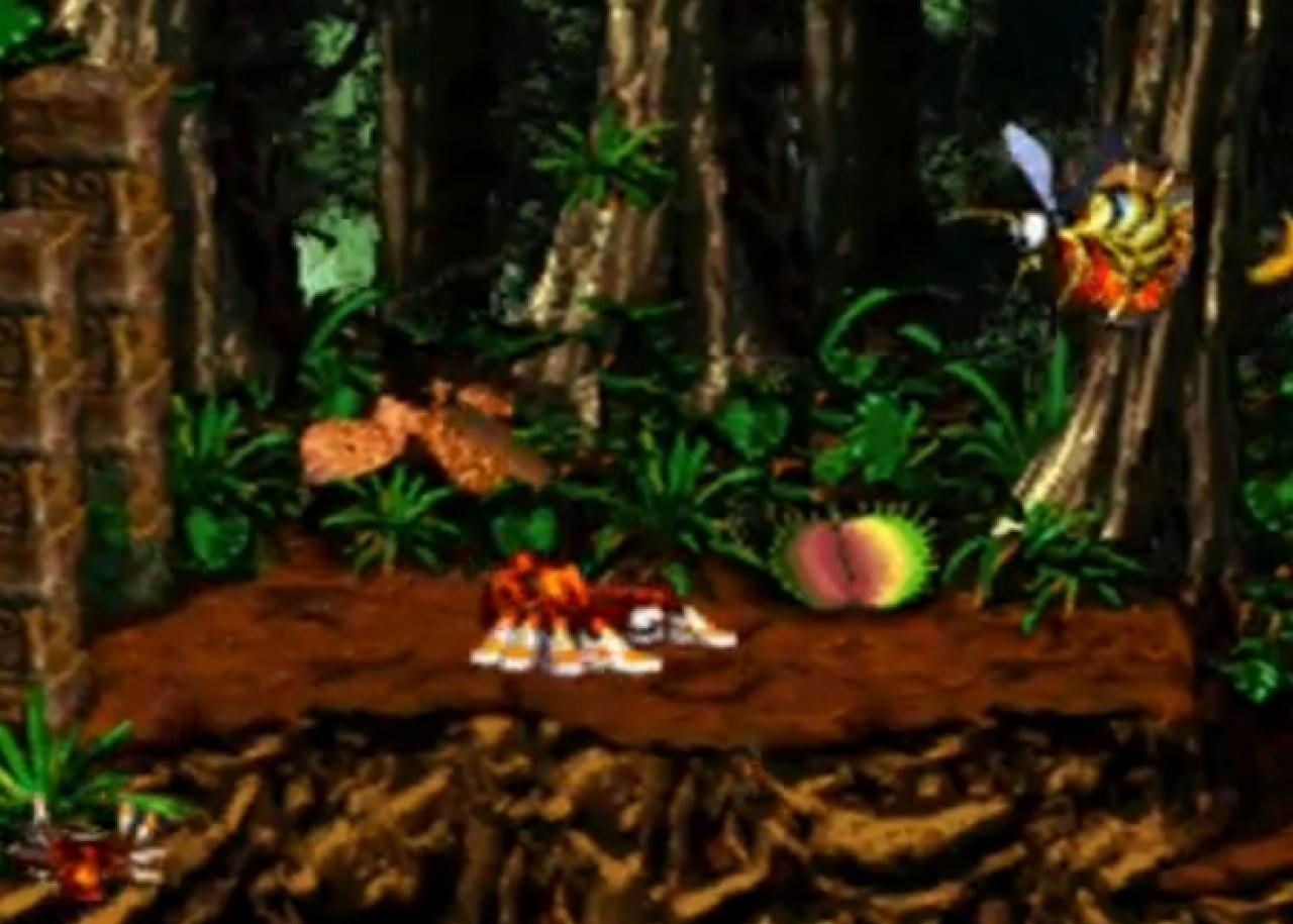[04/11/2011] Donkey Kong Country 2 - Animal Antics - Der Ritt auf verschiedenen Tieren in diesem Level war einfach unerhört knifflig. - Leser-Vorschlag