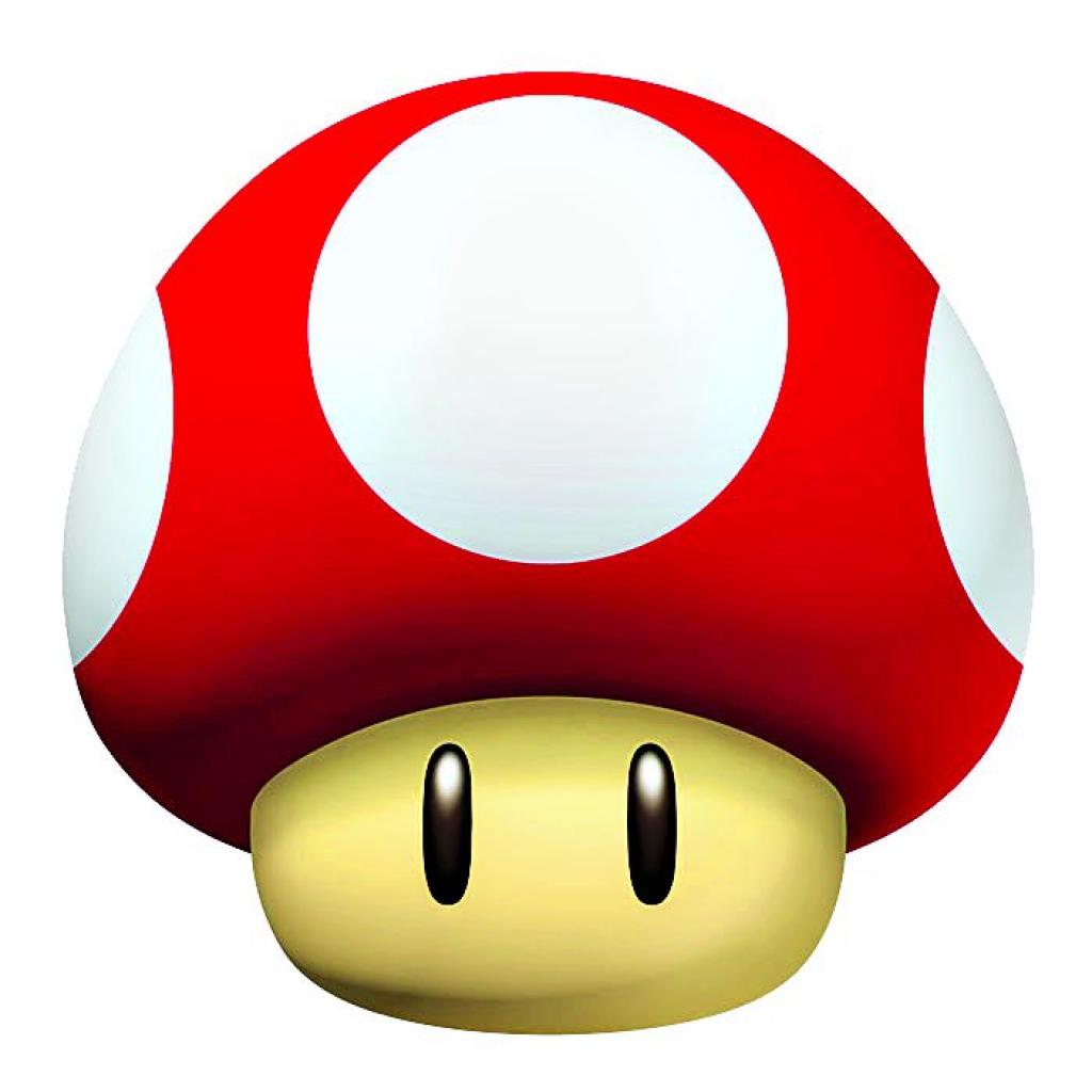 [27/01/2012] Pilz