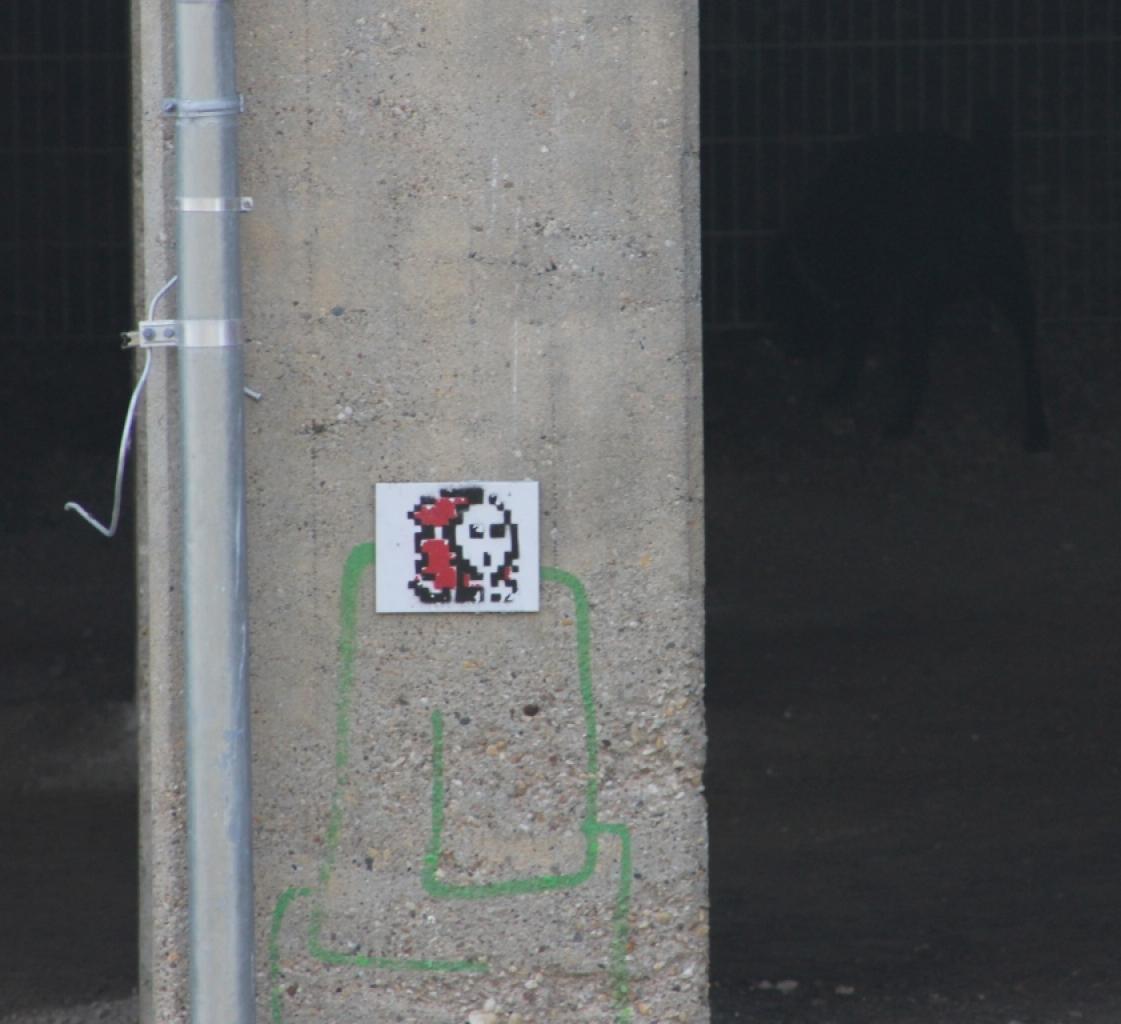 [25/09/2012] Super Mario auf dem Radweg des Leipziger Karl-Heine-Kanals (16)