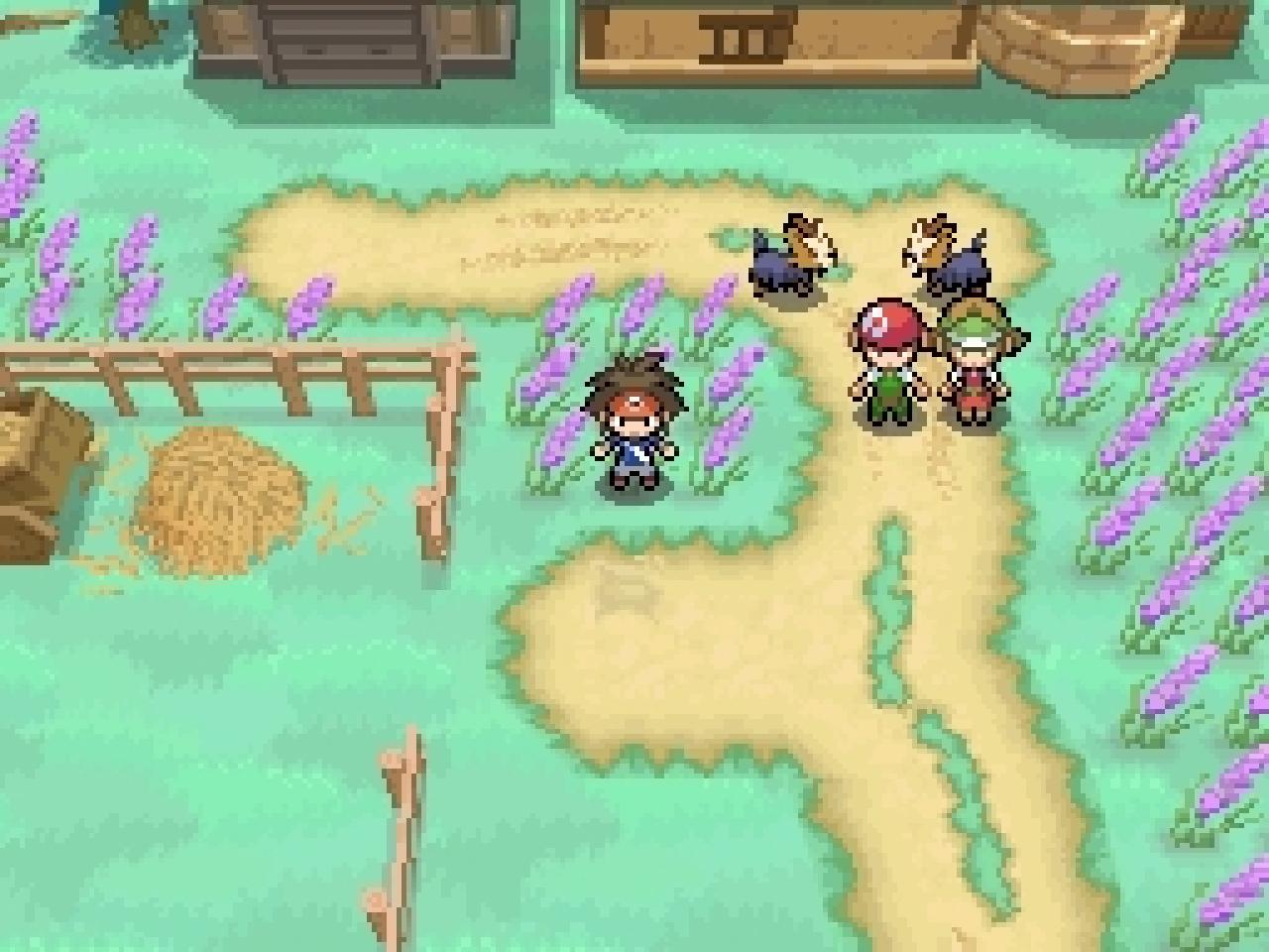 [11/10/2012] Pokémon - Pokédollar - Mit der Währung kauft ihr Gegengifte, Tränke und mehr - Leser-Vorschlag