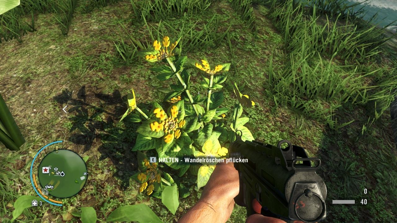 [21/11/2012] Far Cry 3: Verschiedenste Blüten und Kräuter sind überall in der Spielwelt verteilt. Sämtliche Pflanzen lassen sich kostenlos zu Spritzen verarbeiten, das geht kostenlos und überall, selbst im tiefsten Dschungel.