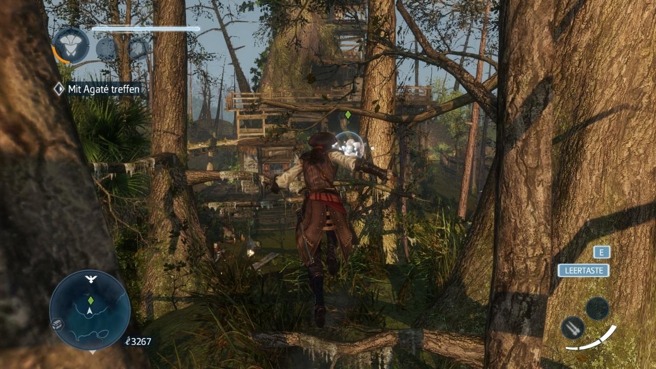 [16/01/2014] Assassin's Creed: Liberation HD im Test. (3)