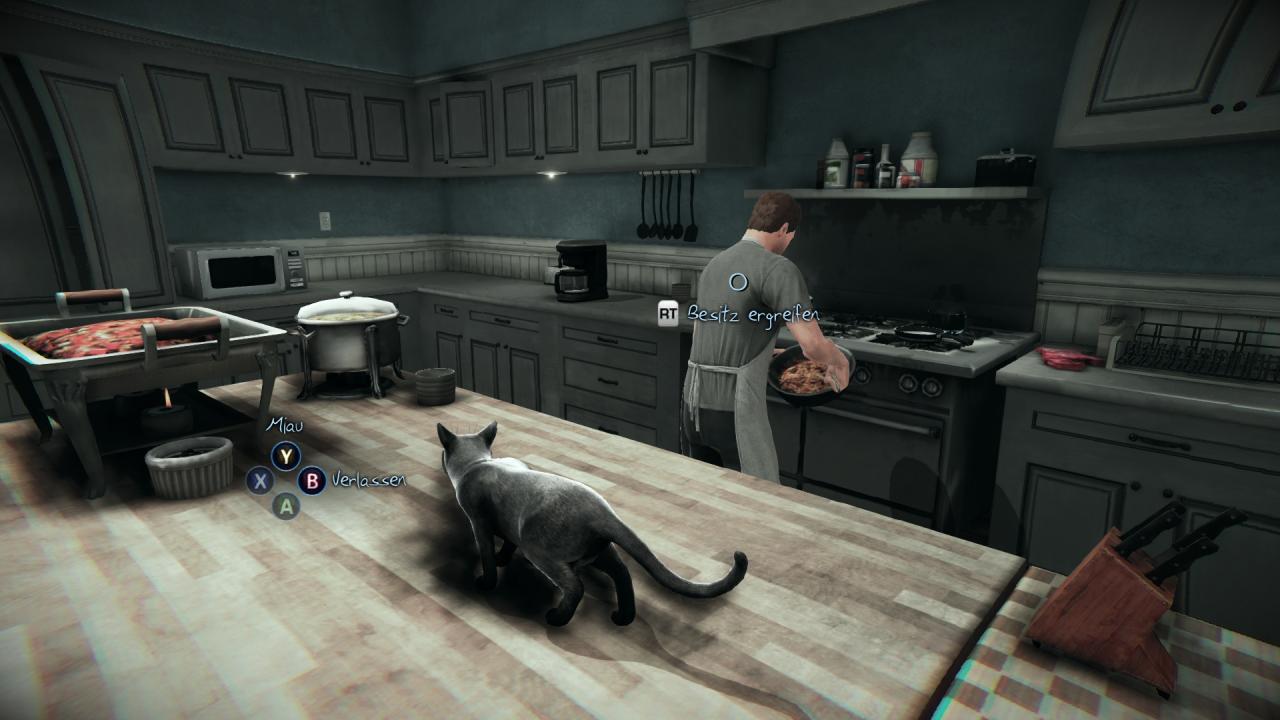 [05/06/2014] Mehrmals müssen wir in die Körper von Katzen schlüpfen, um unser Ziel zu erreichen. Anfangs lustig, später mäh. (PC)