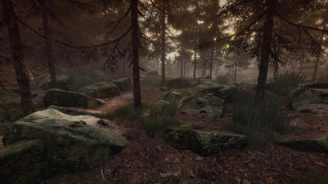 [29/09/2014] Grafisch ist The Vanishing of Ethan Carter über jeden Zweifel erhaben.