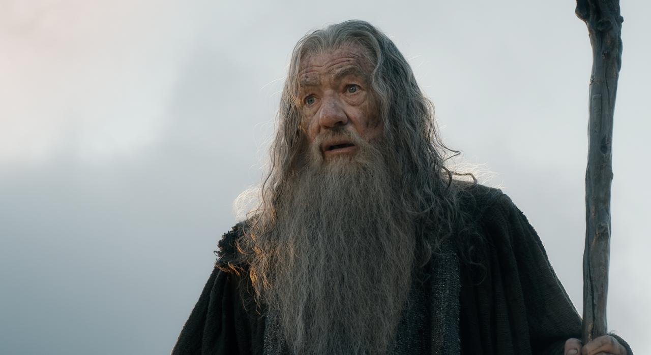 [06/11/2014] Gandalf der Zauberer hält die Zügel lose in der Hand.