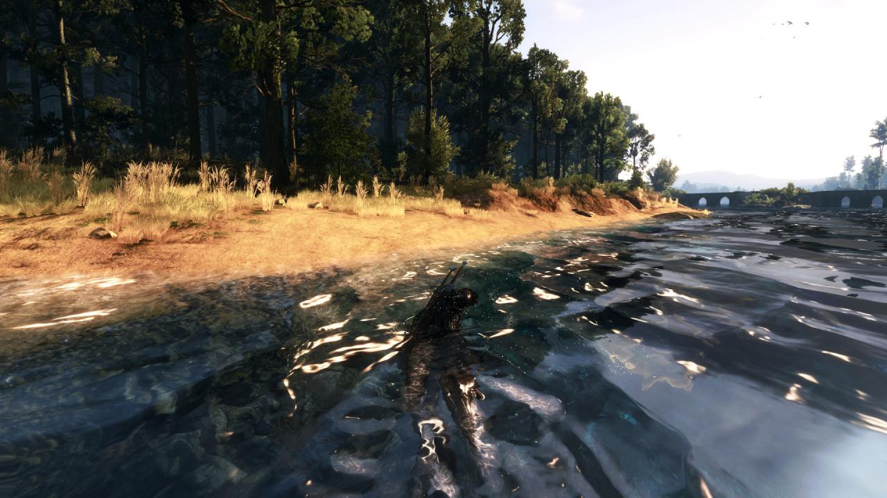 [27/05/2015] Fans von The Witcher 3 sind nicht erfreut und fordern mehr Inhalte mit der jungen Hexerin Triss Merigold. (5)