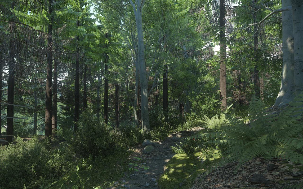 Die von Warhorse überarbeitete Cryengine sorgt für eindrucksvolle und realistisch wirkende Wälder.