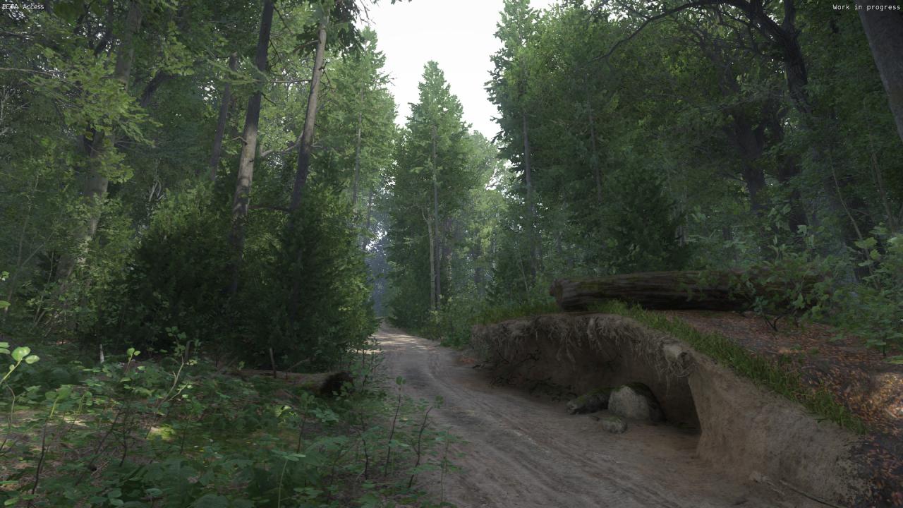 [06/03/2016] Kingdom Come: Deliverance, Beta - Unterwegs beim Waldspaziergang