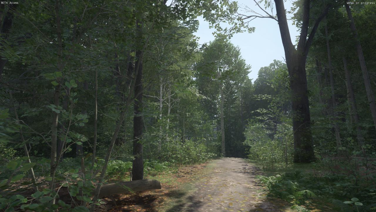 [06/03/2016] Kingdom Come: Deliverance, Beta - Unterwegs beim Waldspaziergang