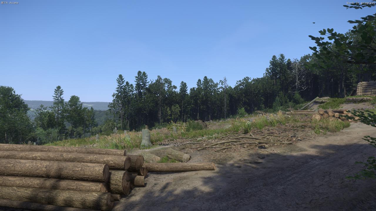 [06/03/2016] Kingdom Come: Deliverance, Beta - Eine Rodungsfläche nördlich von Burg Talmberg.