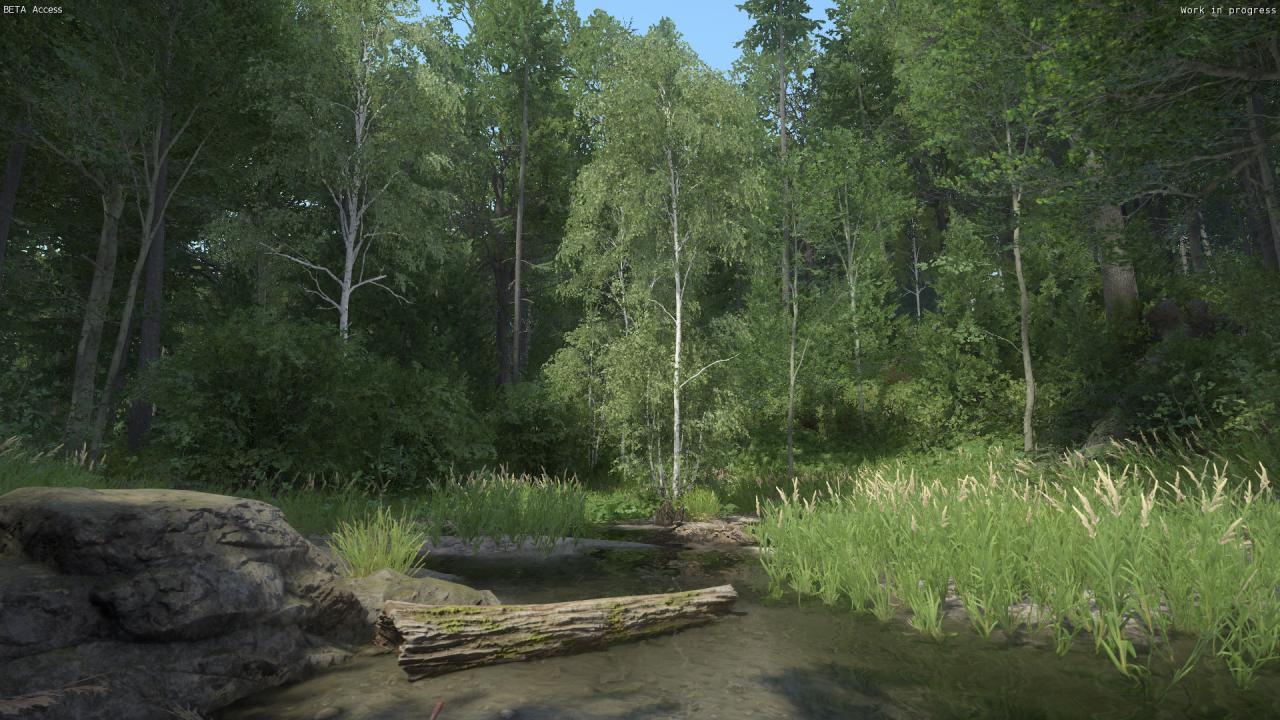 [06/03/2016] Kingdom Come: Deliverance, Beta - Unterwegs beim Waldspaziergang