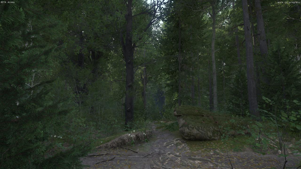 [06/03/2016] Kingdom Come: Deliverance, Beta - Unterwegs beim Waldspaziergang