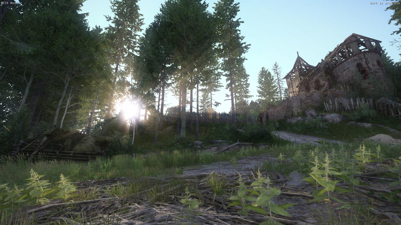 [06/03/2016] Kingdom Come: Deliverance, Beta - Banditenfestung im Wald