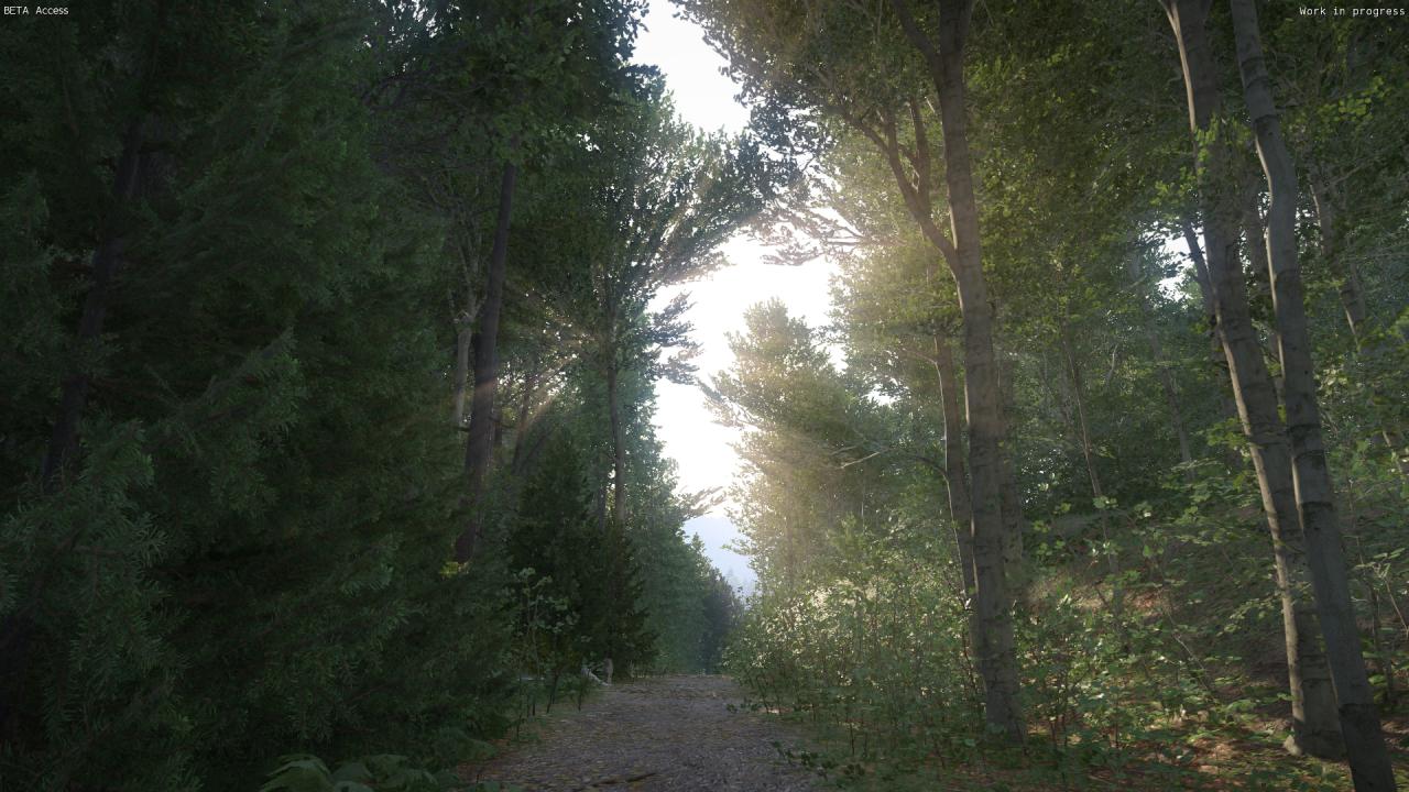 [06/03/2016] Kingdom Come: Deliverance, Beta - Unterwegs beim Waldspaziergang