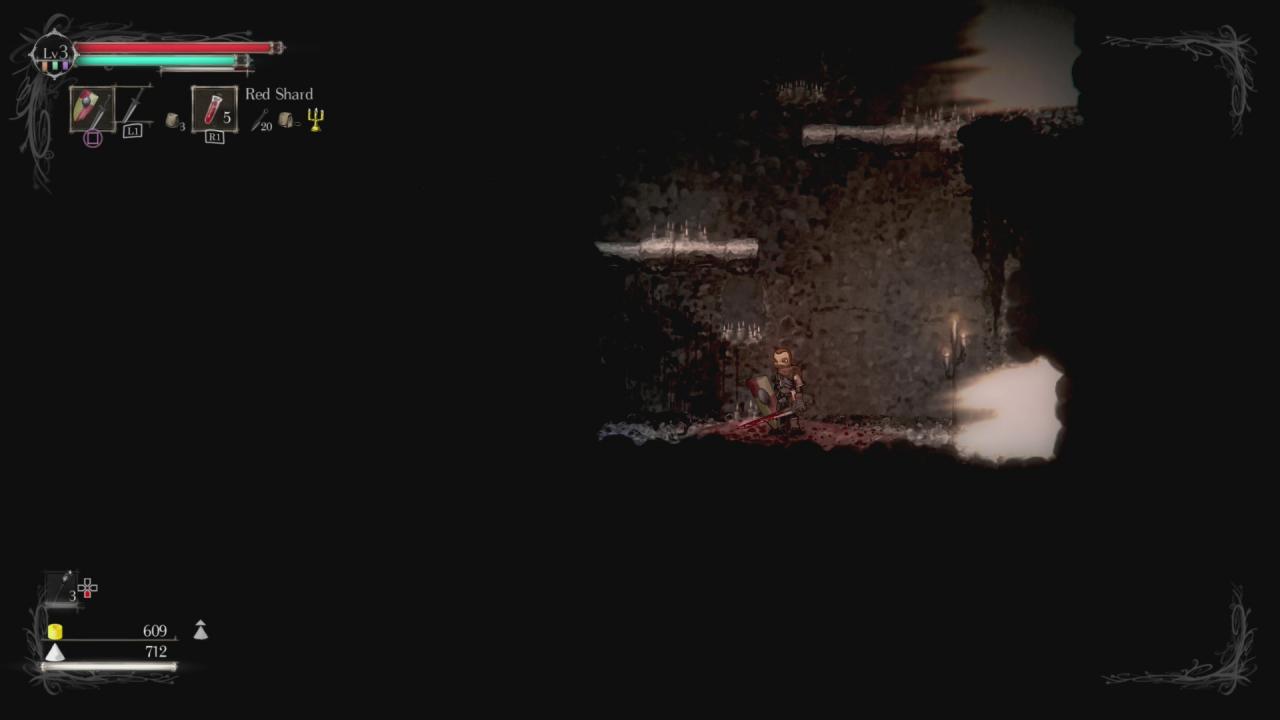 Dunkle Areale beleuchten Spieler in Salt & Sanctuary mit Fackeln.
