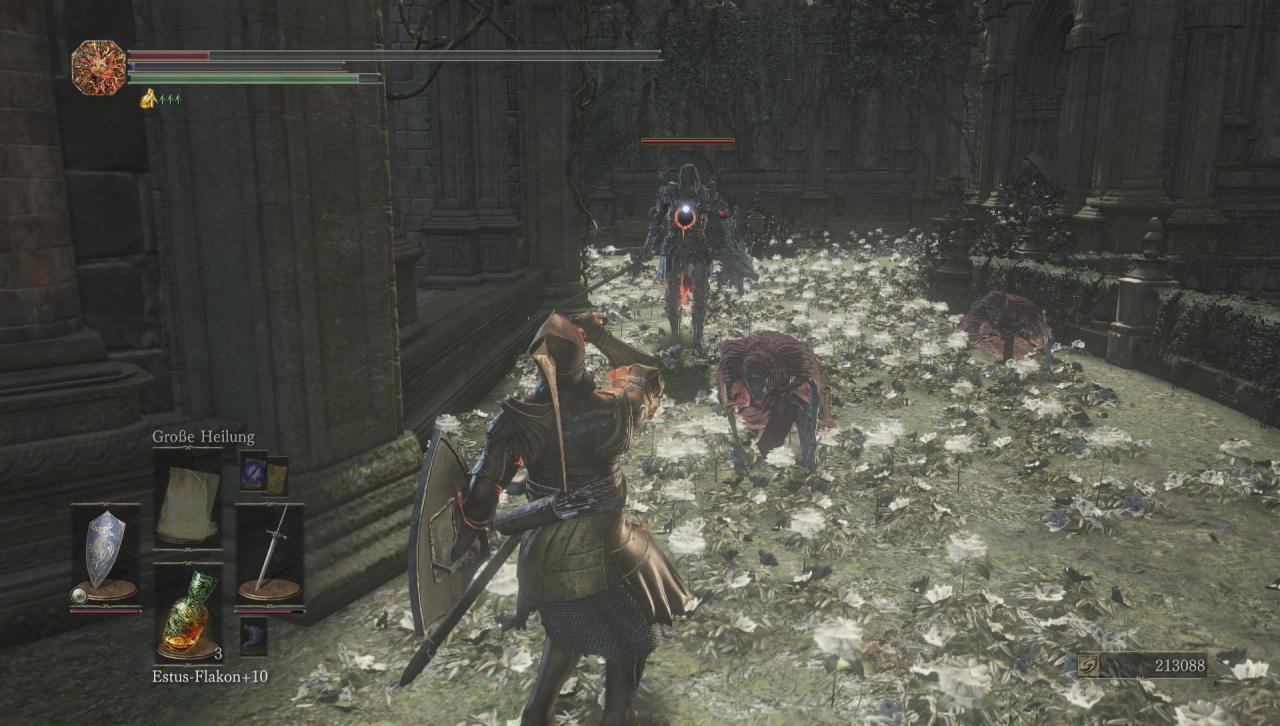 Ringritter und Meuchelbestien in Dark Souls 3 The Ringed City.