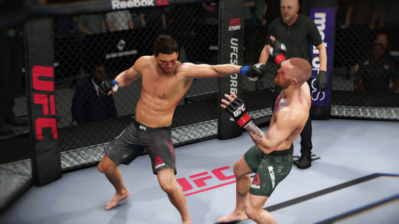 [25/01/2018] Die Animationen sind für UFC 3 sichtlich verbessert worden. Die Bewegungsabläufe sind nochmals realistischer.