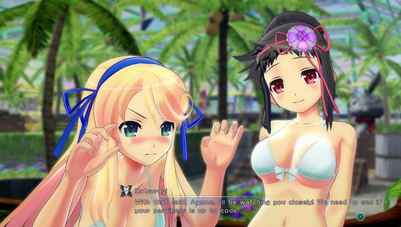 [02/05/2018] Senran Kagura ist ein gutes Beispiel dafür, dass sexualisierte Charaktere trotzdem ausgearbeitete Persönlichkeiten haben können. Die lesbische Katsuragi freut sich über ihre Freundinnen in Bikinis.