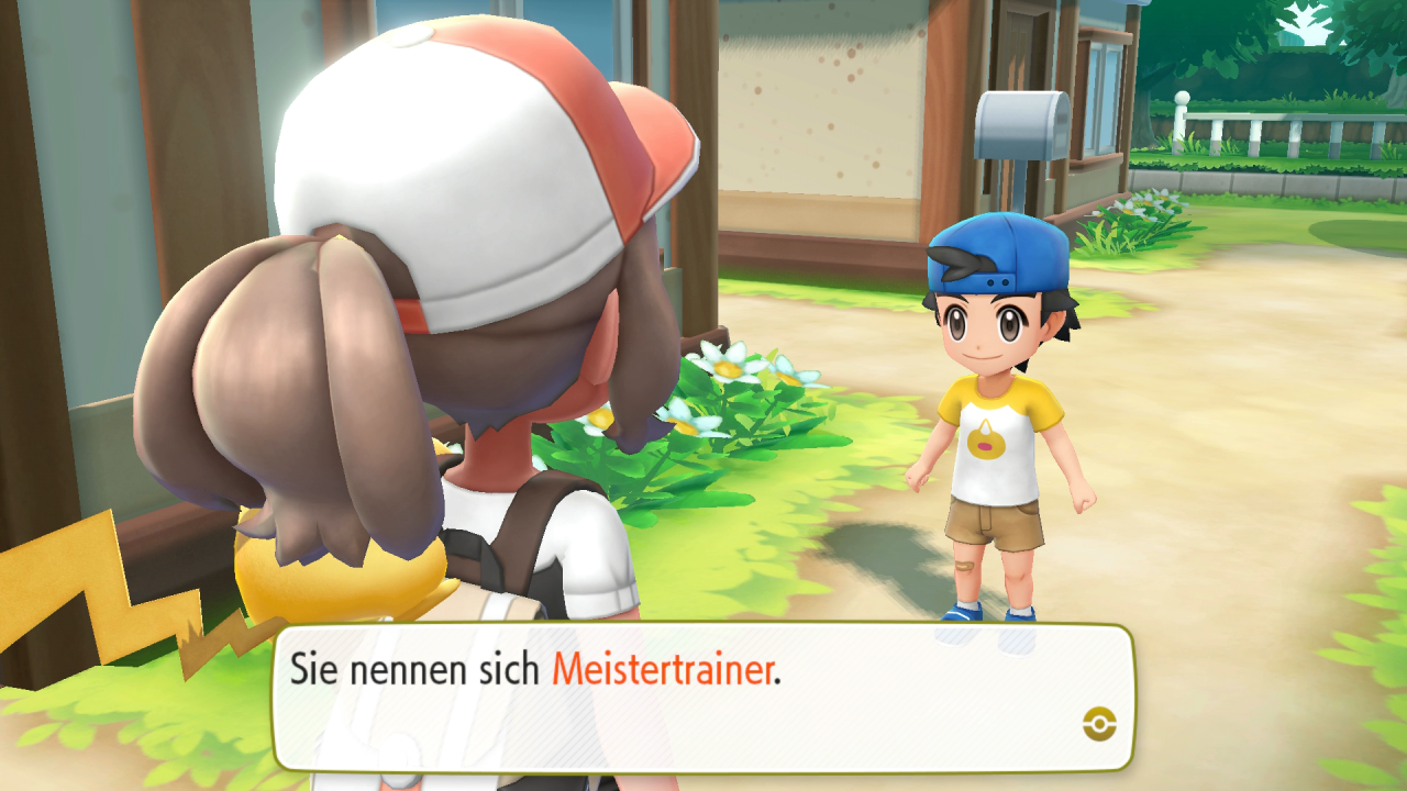 [28/11/2018] Ein Knirps informiert uns über die Meistertrainer.
