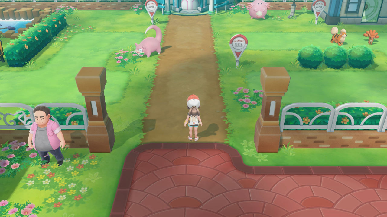 [21/11/2018] In der Safari-Zone beobachten wir verschiedene Pokémon.
