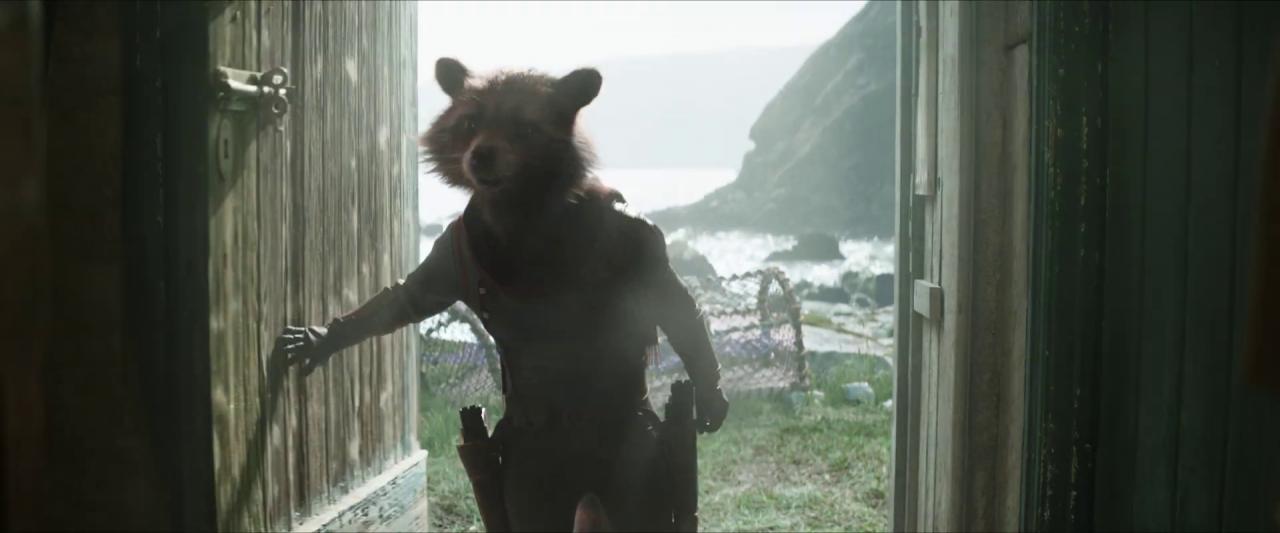 [05/02/2019] Ist Rocket Racoon auf der Suche nach Thor?&nbsp;