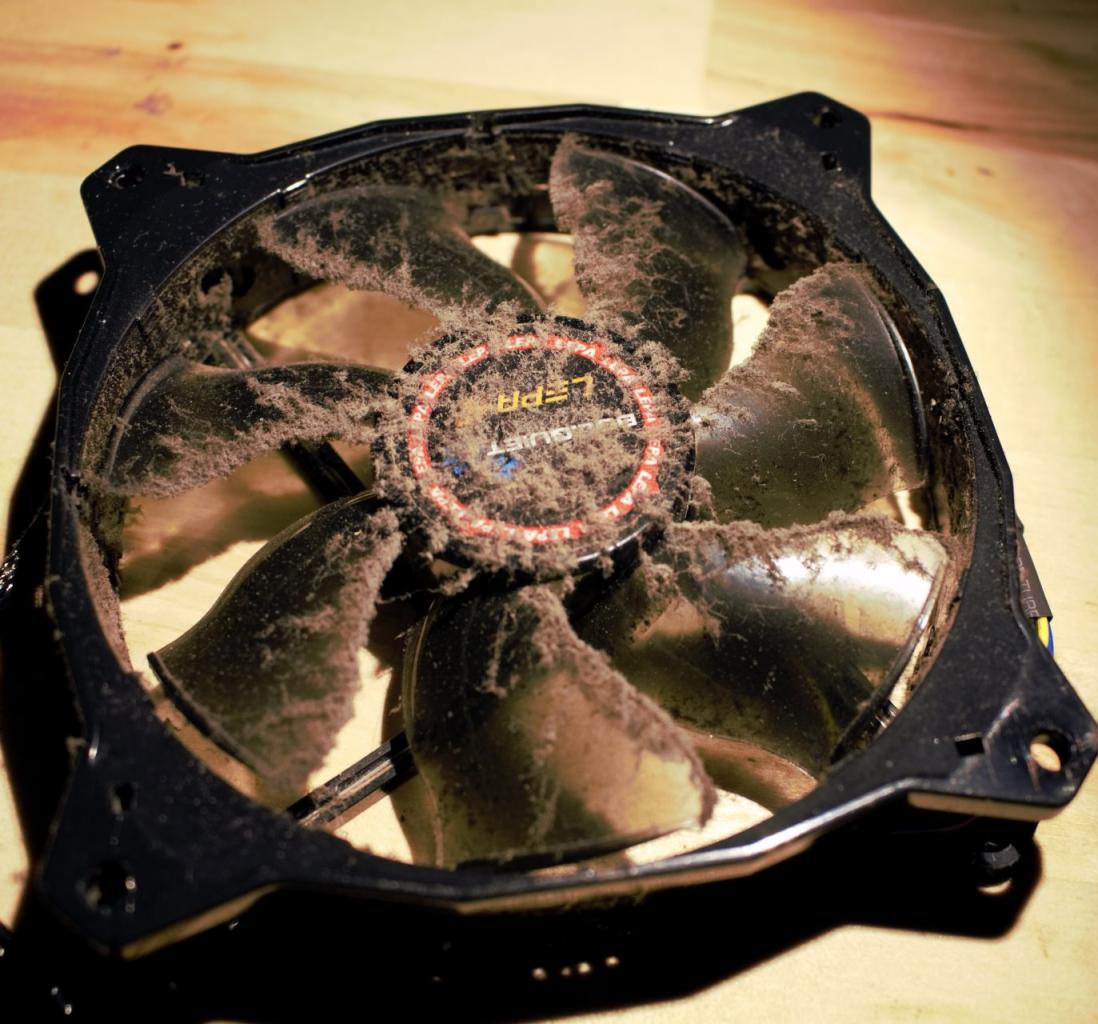 [05/04/2019] Dieser Lüfter hat sich offenbar nicht aus dem Staub gemacht, sondern darin gewälzt.