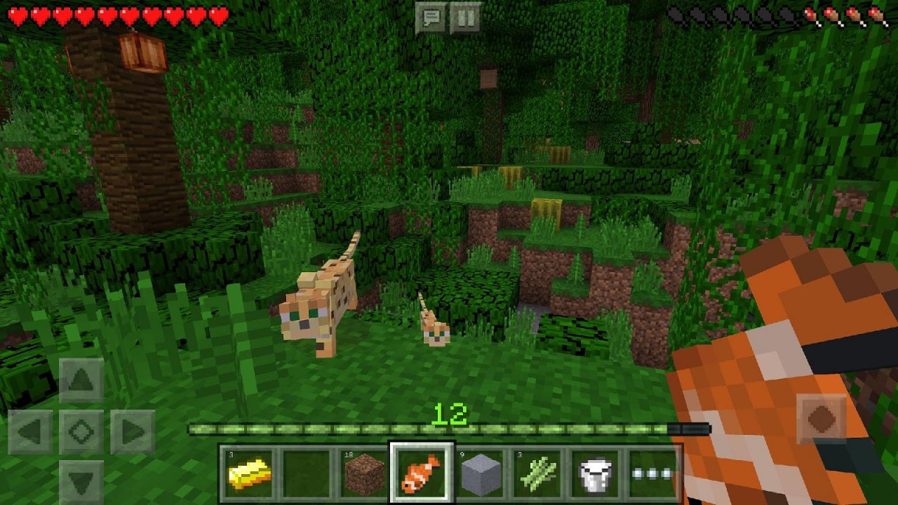 [10/05/2019] Dank Minecraft: Pocket Edition ist das beliebte Aufbauspiel seit 2011 für Smartphones, Tablets und Handhelds erhältlich. Der Zusatz Pocket Edition wurde inzwischen jedoch gestrichen. Die Mobile-Portierung ist der erfolgreichste Ableger der Reihe.