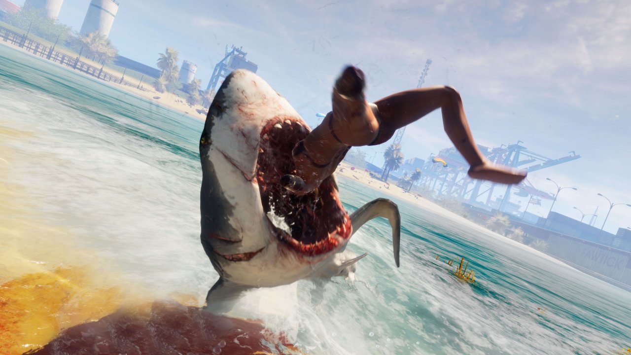 [20/02/2020] Maneater im Test