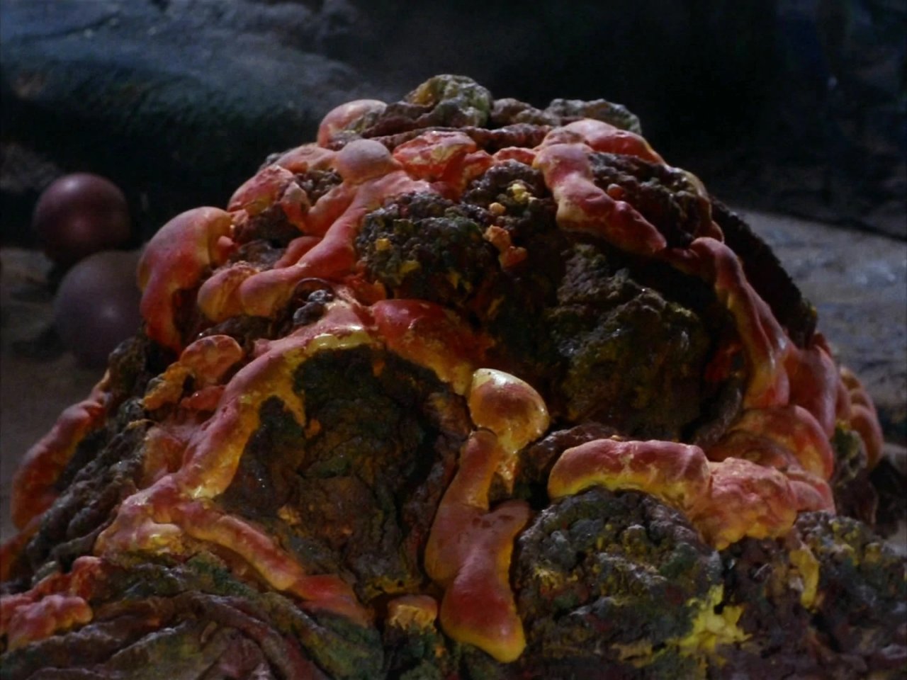 [24/07/2020] Horta -&nbsp;Die Horta haben eine Menge Charakter und gehören auch ohne einen Gesichtsausdruck oder eine komplexe Kultur zu den ikonischen Star Trek Aliens.