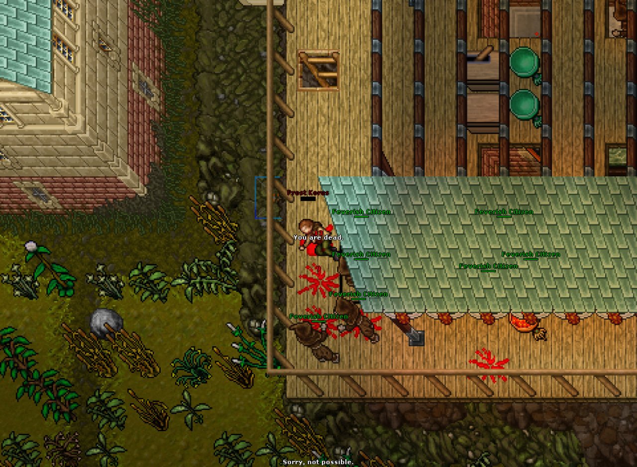 [28/01/2022] Mein erstes Mal Tibia - Eine MMO-Entjungerfung (5)