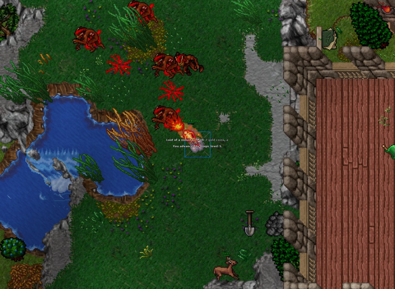 [28/01/2022] Mein erstes Mal Tibia - Eine MMO-Entjungerfung (6)