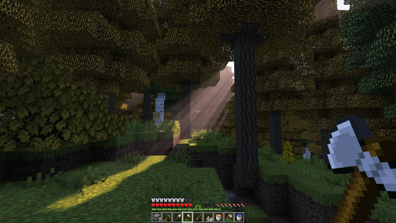 Minecraft Wald
