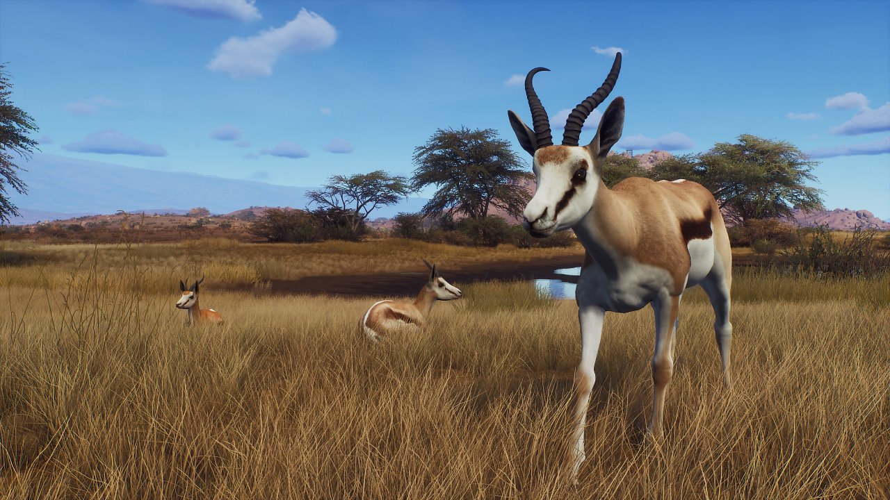 Antilope