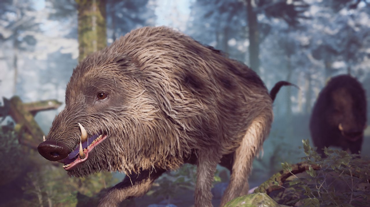 Ein Wildschwein im Wald