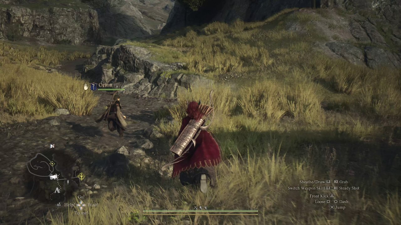 Ein Vasall führt die Gruppe auf dem Weg zu einer Quest.