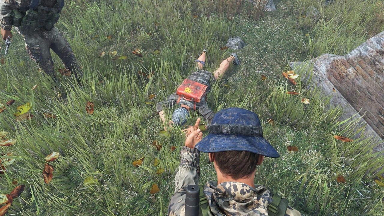 DayZ