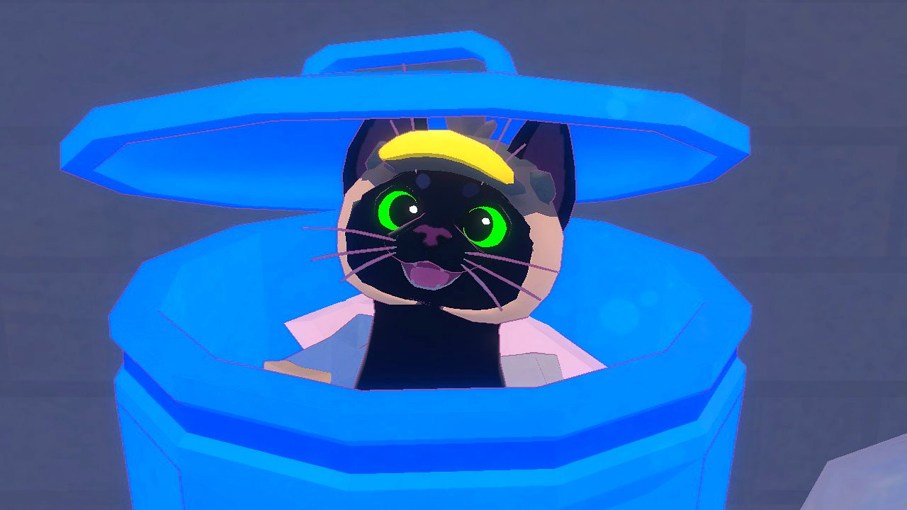 Die Katze mit Entenmütze schaut glücklich aus einer Mülltonne.