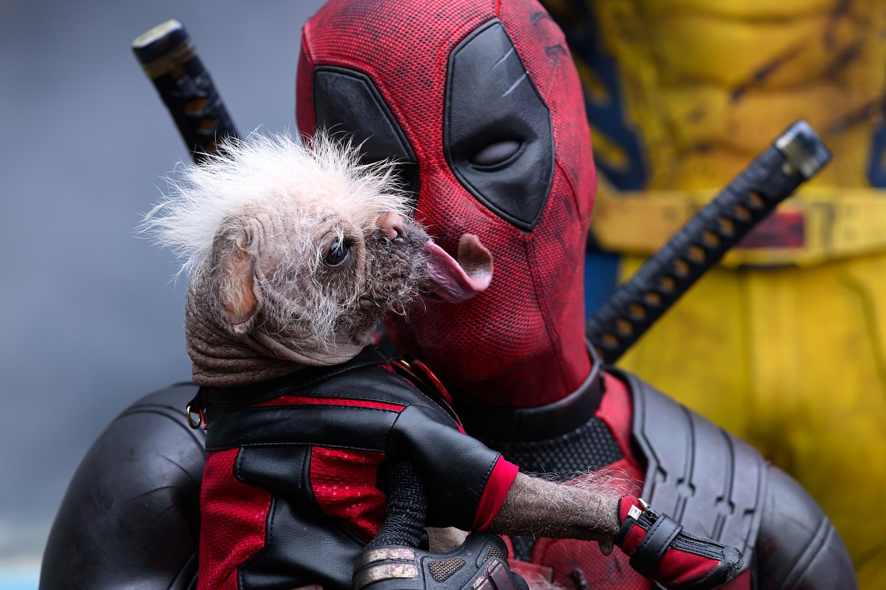 Deadpool mit Hundchen Dogpool.